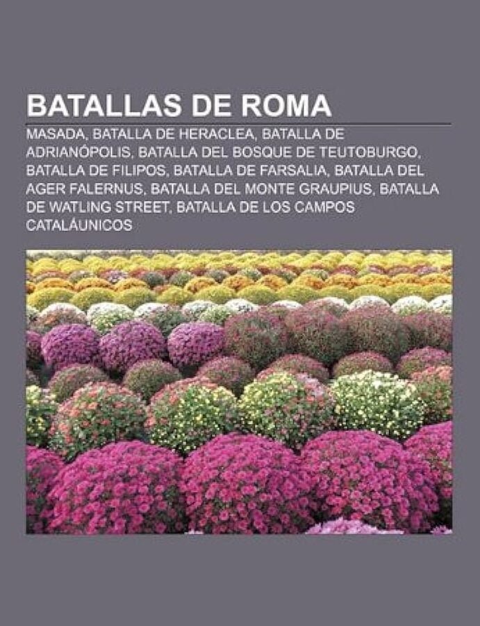 La Legendaria Batalla De Naissus Una Contienda Pica En La Historia B Lica   Batalla Naissus 